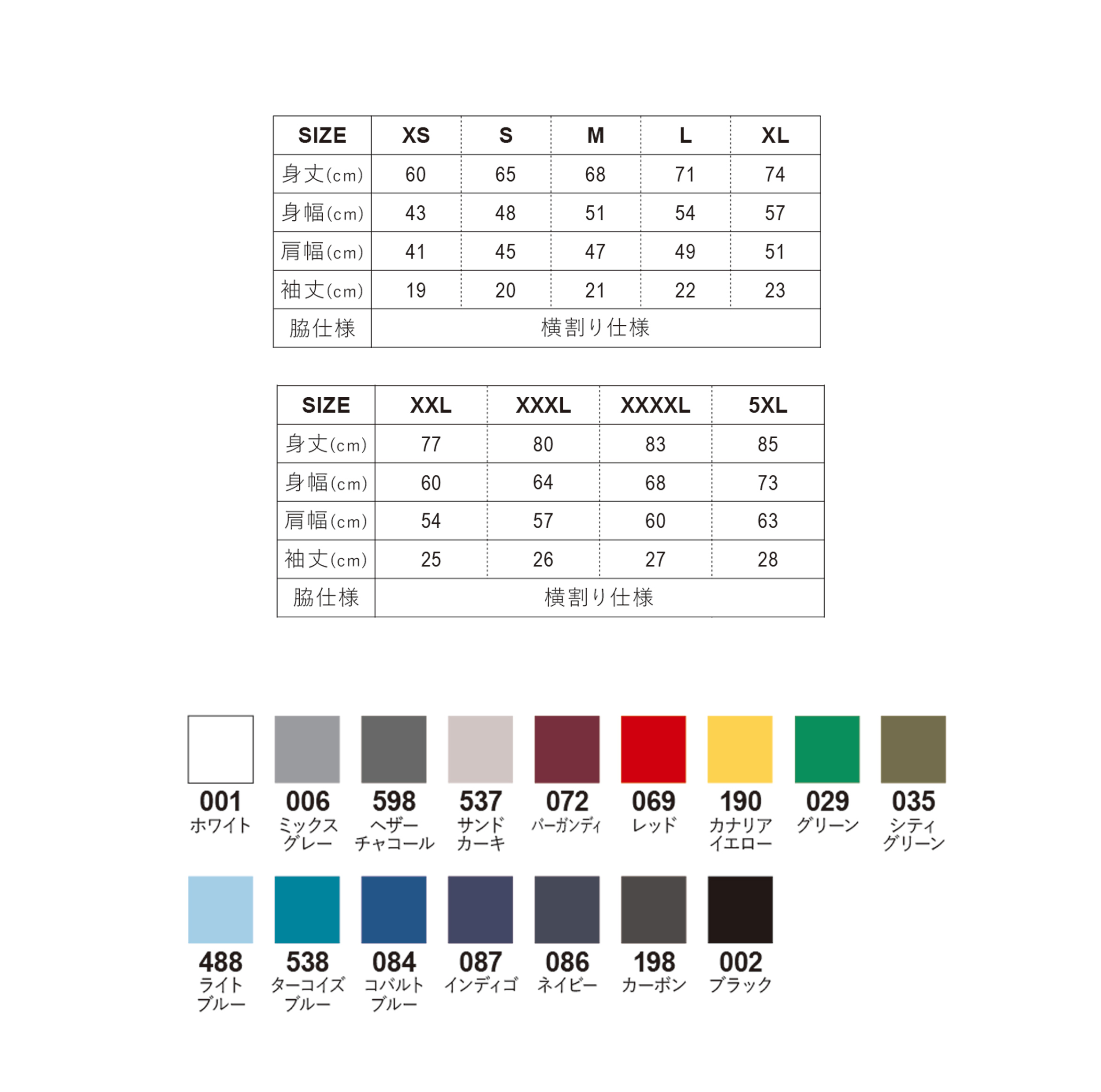 2020ポロ　サイズとカラー